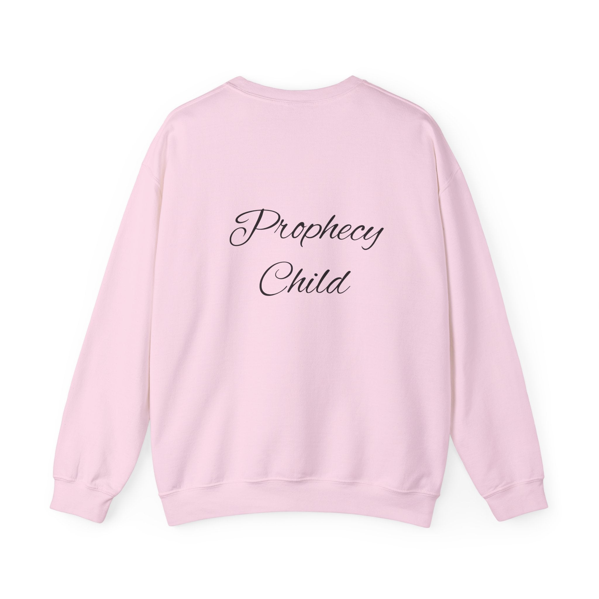 Christian Crewneck Sweatshirt – John 3:16 Scripture Design "Prophecy Child"
