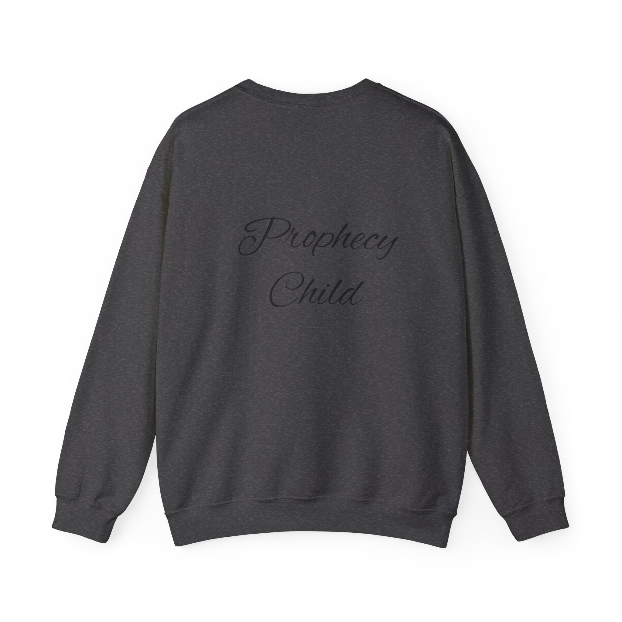 Christian Crewneck Sweatshirt – John 3:16 Scripture Design "Prophecy Child"