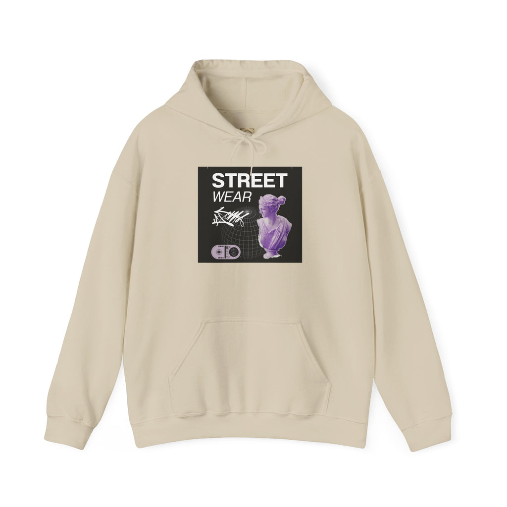 Streetwear Hoodie — 'STREET WEAR' Vaporwave Statue Graphic Pullover
