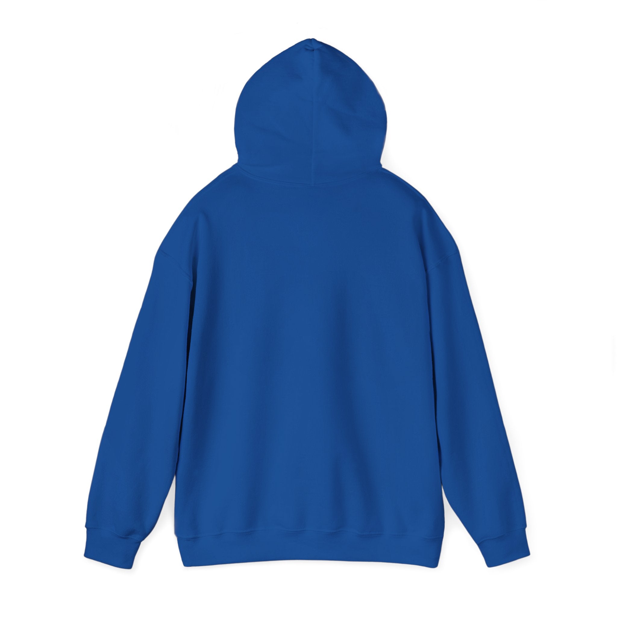 Boglebear Graphic Hoodie — Retro Blue Bear Design