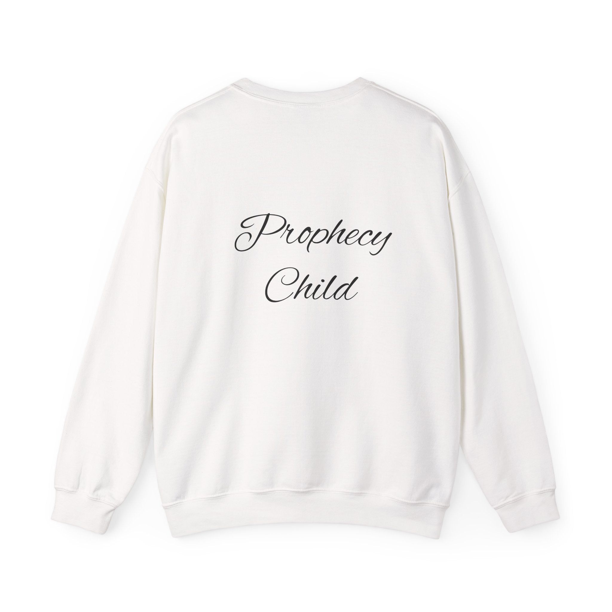 Christian Crewneck Sweatshirt – John 3:16 Scripture Design "Prophecy Child"