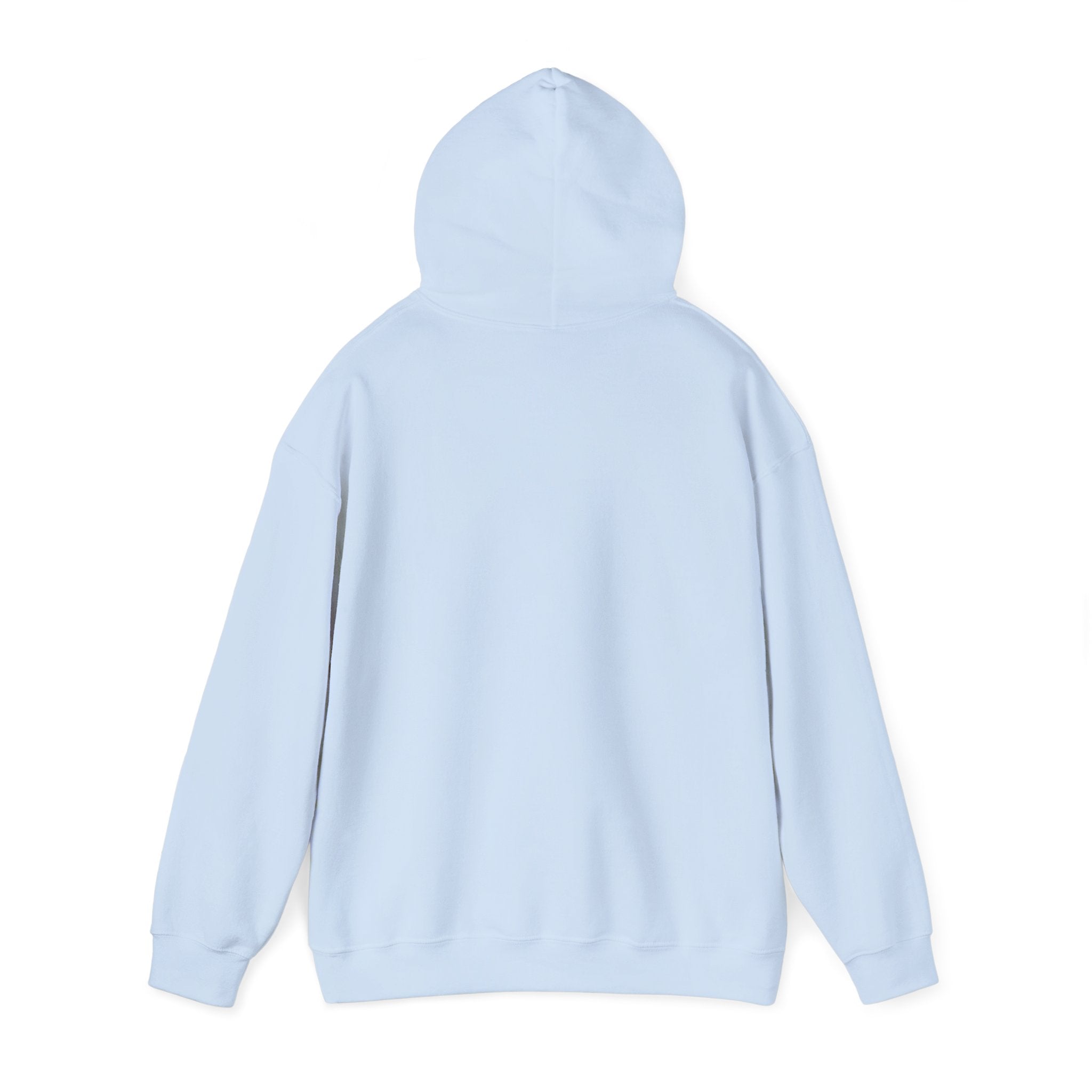 Boglebear Graphic Hoodie — Retro Blue Bear Design