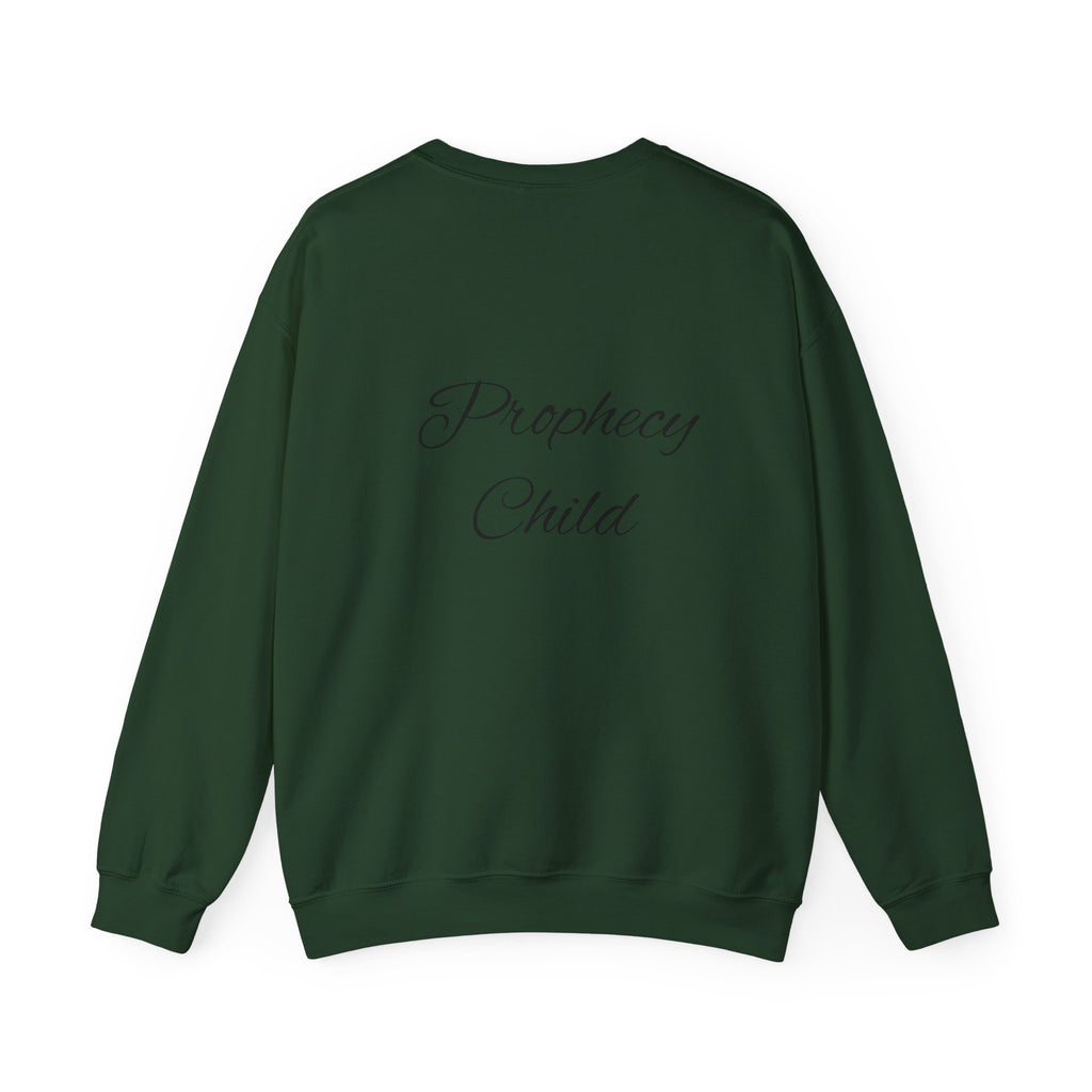 Christian Crewneck Sweatshirt – John 3:16 Scripture Design "Prophecy Child"