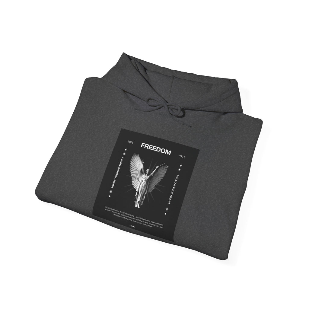 Freedom Angel Hoodie — Gothic Black & White Angel Wings Sweatshirt