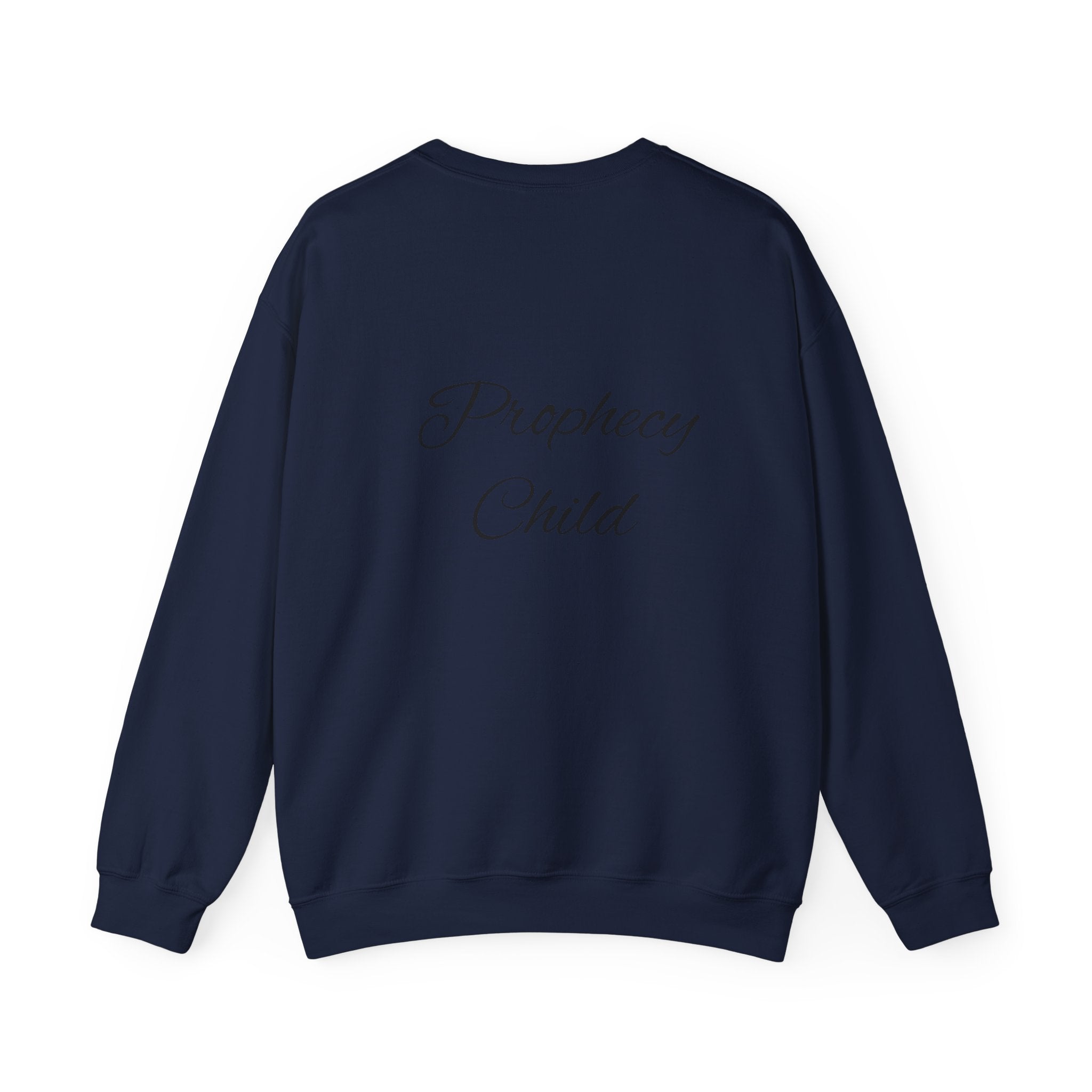 Christian Crewneck Sweatshirt – John 3:16 Scripture Design "Prophecy Child"